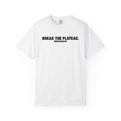 Break The Plateau. —Unisex Garment-Dyed T-shirt — Motivational Fitness Tee