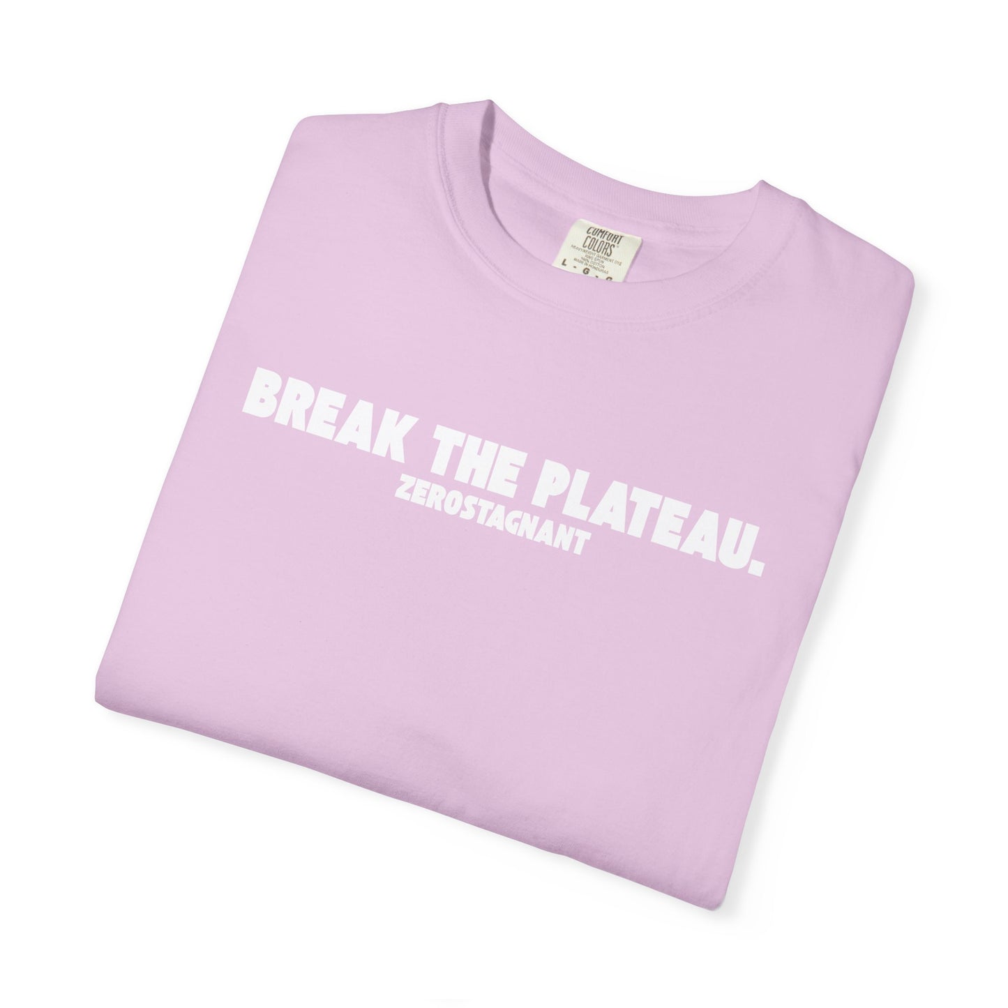 Break The Plateau. —Unisex Garment-Dyed T-shirt — Motivational Fitness Tee