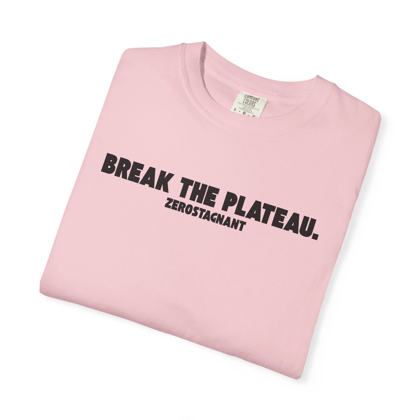 Break The Plateau. —Unisex Garment-Dyed T-shirt — Motivational Fitness Tee