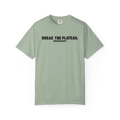 Break The Plateau. —Unisex Garment-Dyed T-shirt — Motivational Fitness Tee