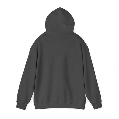 Hoodie — "Zerostagnant: Still. Water Rots. Keep Moving."