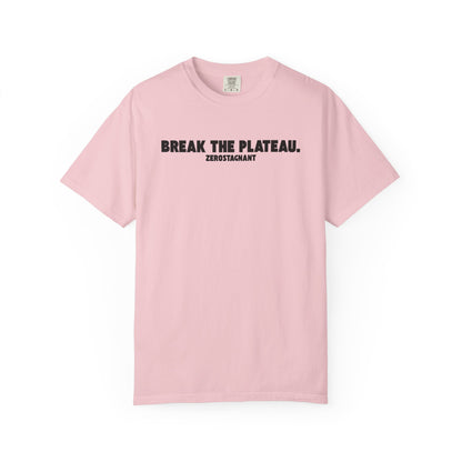 Break The Plateau. —Unisex Garment-Dyed T-shirt — Motivational Fitness Tee