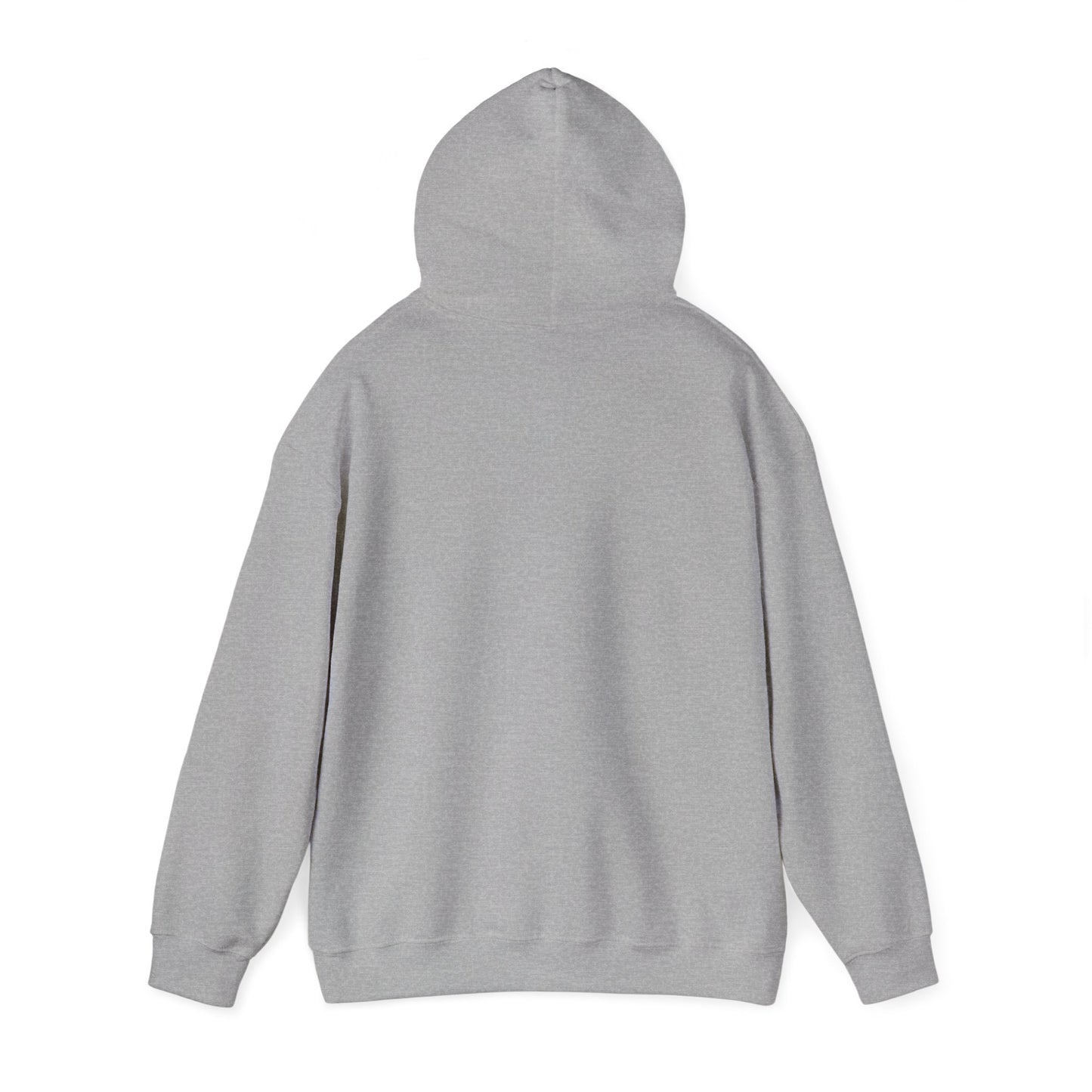 Hoodie — "Zerostagnant: Still. Water Rots. Keep Moving."