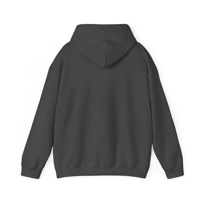Hoodie — "Zerostagnant: Still. Water Rots. Keep Moving."