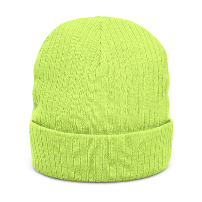 Outrun the Static — Ribbed Knit Beanie (Embroidery)