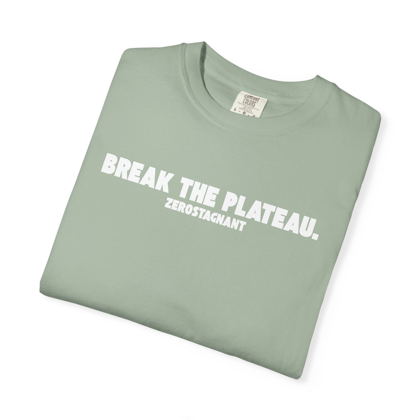 Break The Plateau. —Unisex Garment-Dyed T-shirt — Motivational Fitness Tee